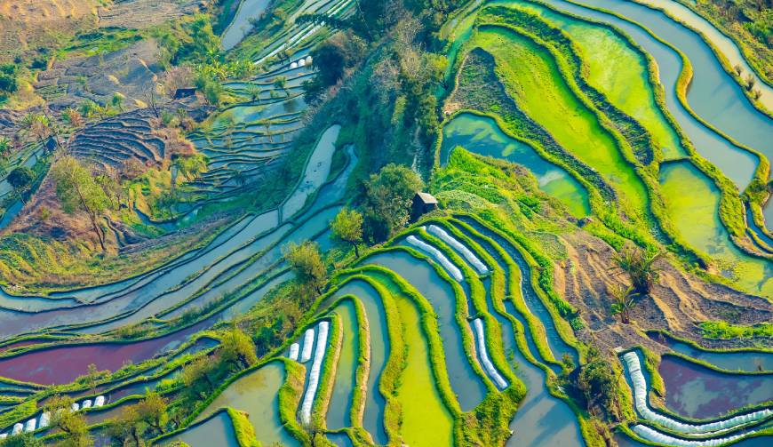 走进鄢陵县TVC拍摄：解锁本地化场景与创意镜头的完美融合